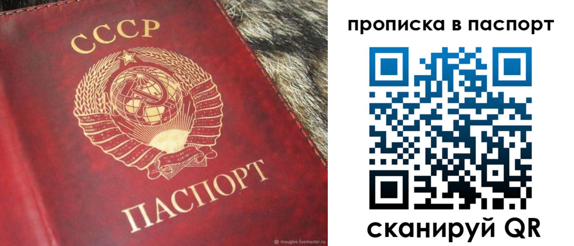 временная регистрация для всех в Евпатории